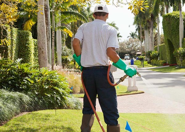 About Mattawamkeag ME Pest Control Pros
